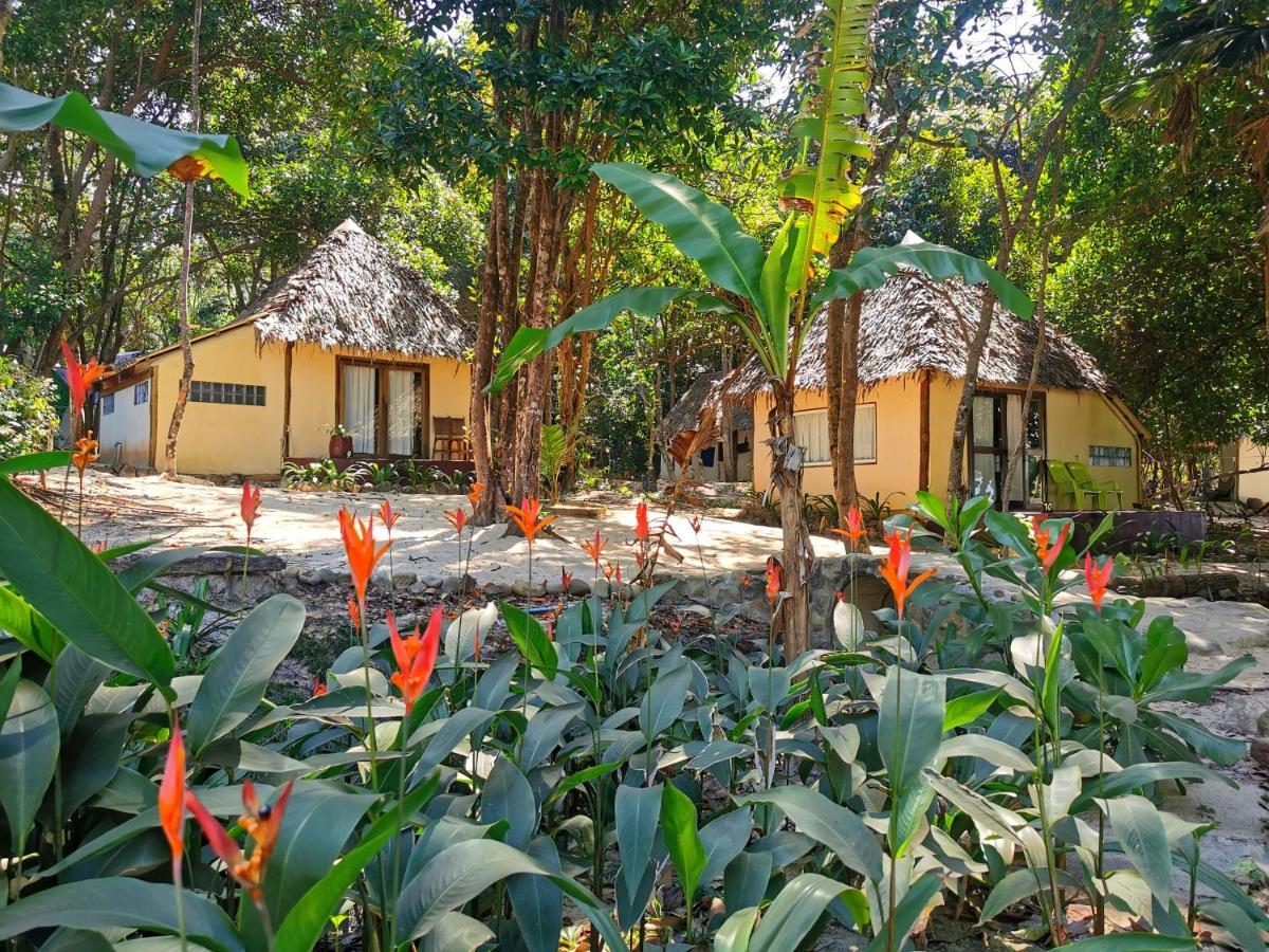 Sleeping Trees Hotel Koh Rong Sanloem Esterno foto